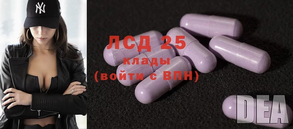 шишки Елабуга