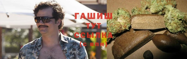 мет Ельня