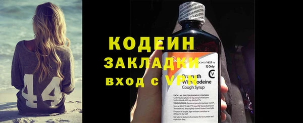 хмурый Елизово