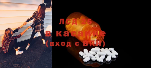 мет Ельня