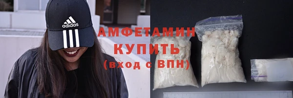 мет Ельня
