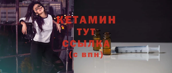 мет Ельня