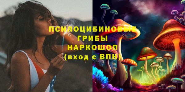 хмурый Елизово