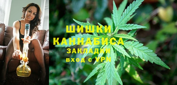 хмурый Заводоуковск