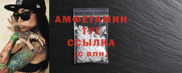 мет Ельня