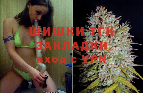 хмурый Елизово