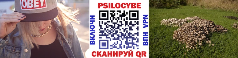 Галлюциногенные грибы GOLDEN TEACHER  Игарка 